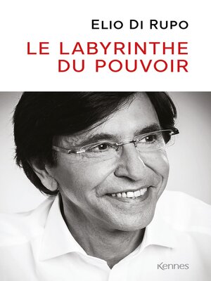cover image of Le labyrinthe du pouvoir
